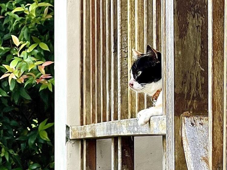 פנסיון Lantala Residence