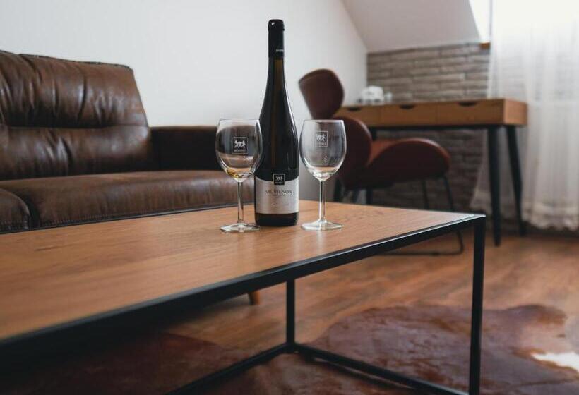 بنسيون Penzión U Vinára