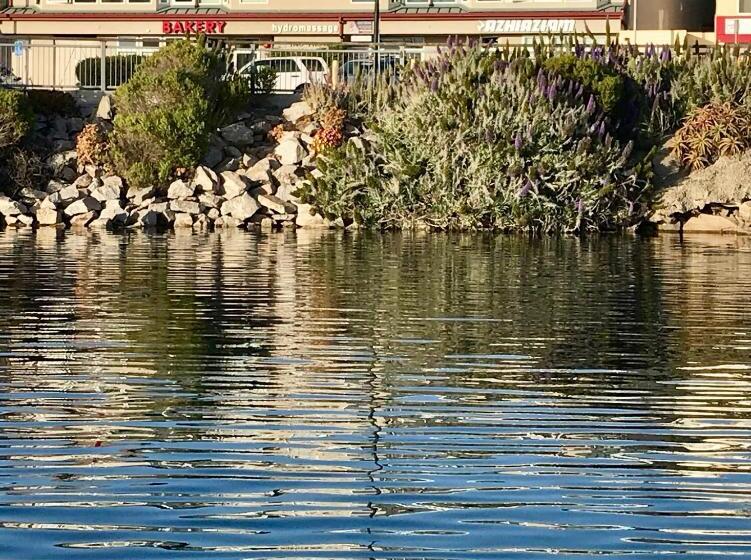 Общежитие Front Street Inn And Spa