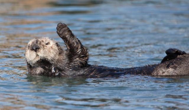 Общежитие Front Street Inn And Spa