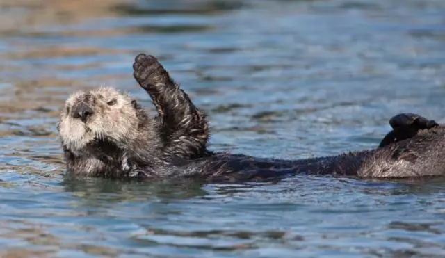 Retkeilymaja Front Street Inn And Spa