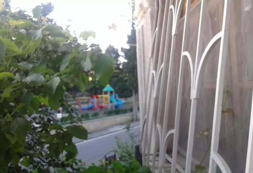 پانسیون ,tengo,