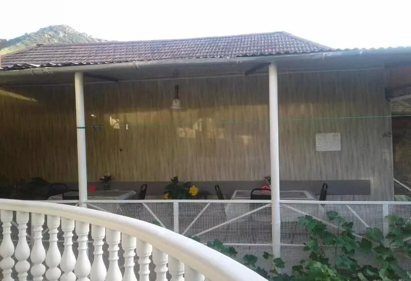 پانسیون ,tengo,