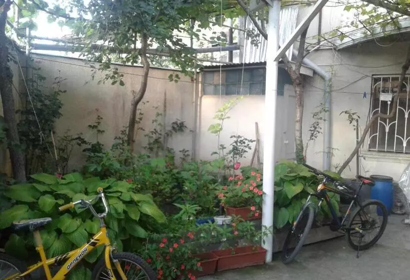 پانسیون ,tengo,