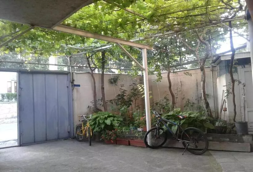 پانسیون ,tengo,