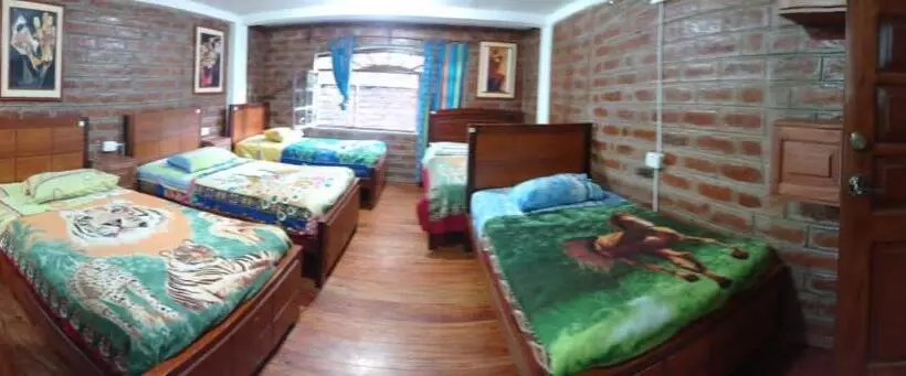 ユースホステル Hostal D´mathias