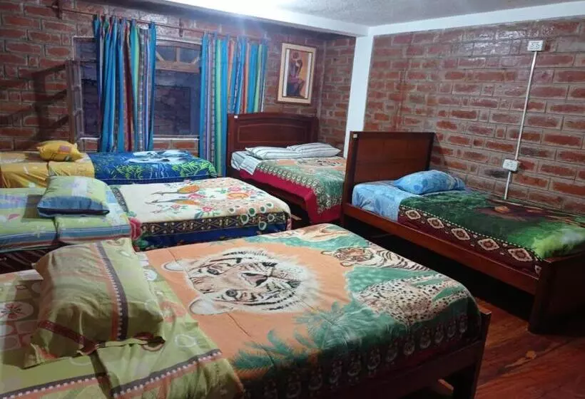 ユースホステル Hostal D´mathias