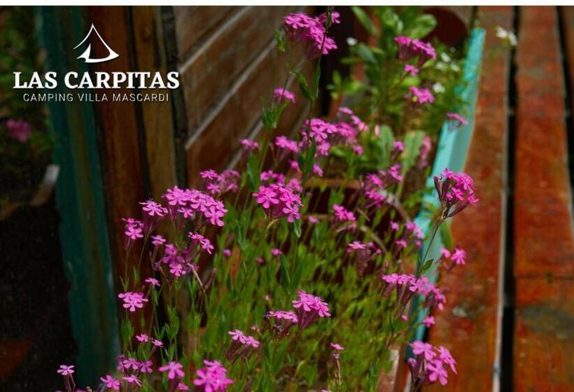 Bed and Breakfast Las Carpitas