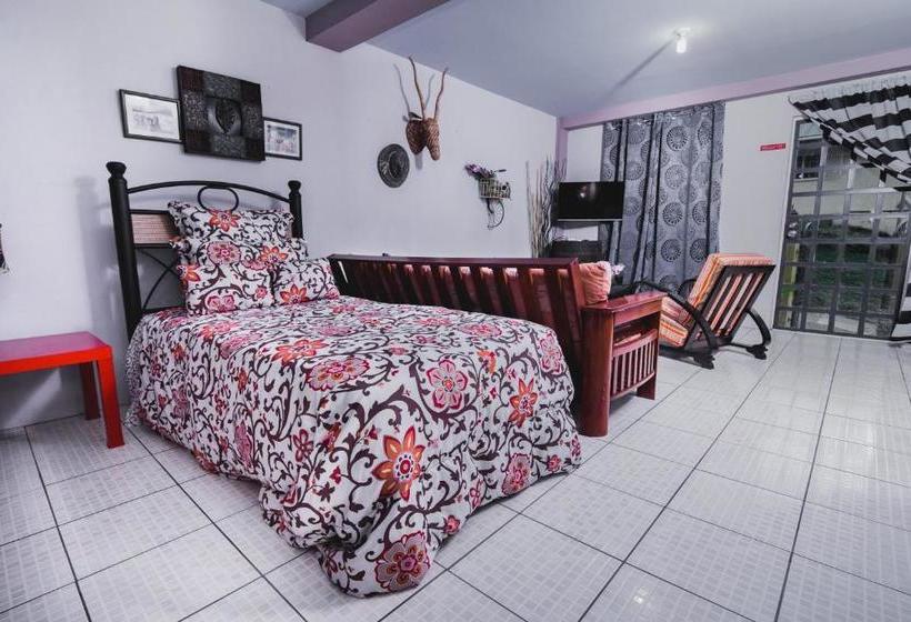 تختخواب و صبحانه The Valley Oasis Inn