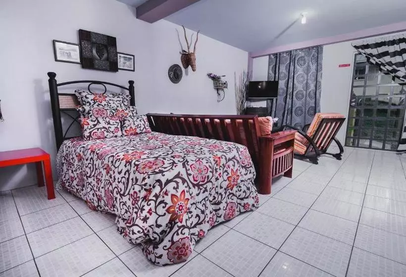 تختخواب و صبحانه The Valley Oasis Inn