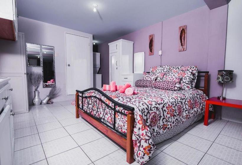 تختخواب و صبحانه The Valley Oasis Inn