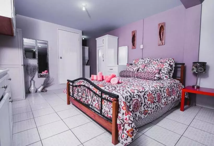 تختخواب و صبحانه The Valley Oasis Inn