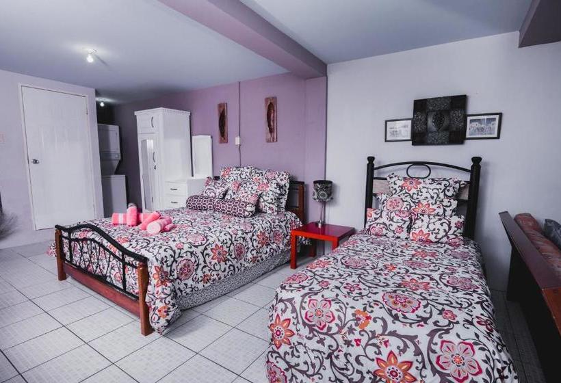 تختخواب و صبحانه The Valley Oasis Inn