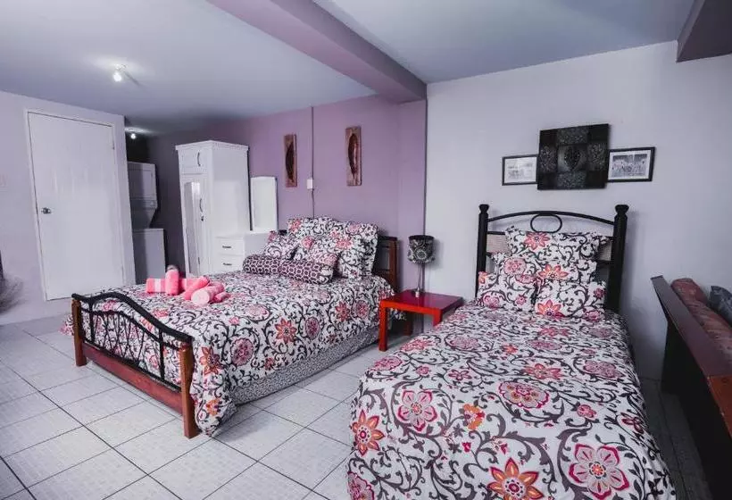 تختخواب و صبحانه The Valley Oasis Inn