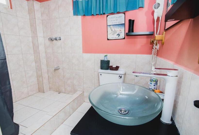 تختخواب و صبحانه The Valley Oasis Inn