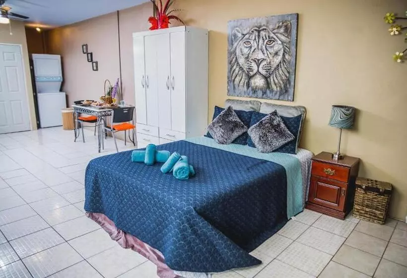 تختخواب و صبحانه The Valley Oasis Inn