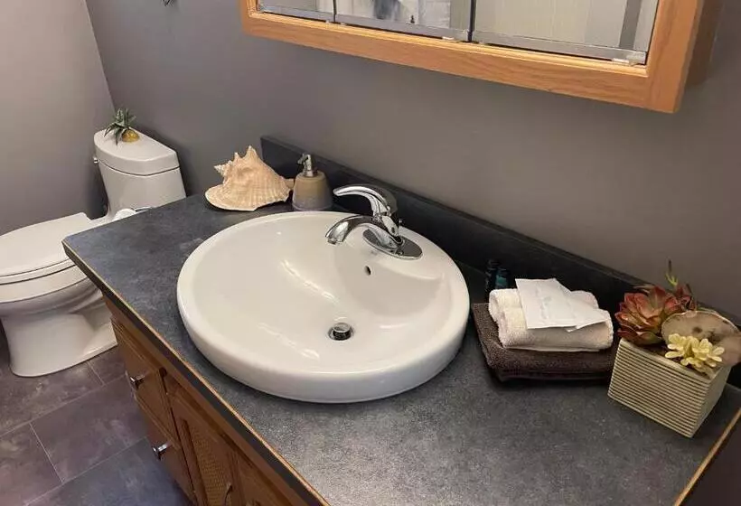 ペンション Blaeberry Valley Vacation Rentals