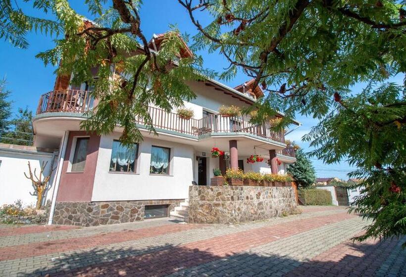 פנסיון Casa Din Noua