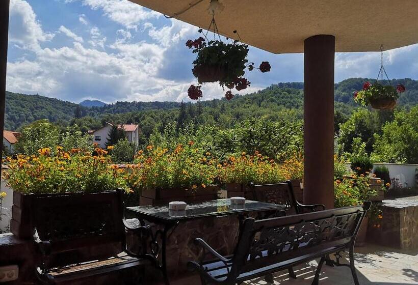 פנסיון Casa Din Noua