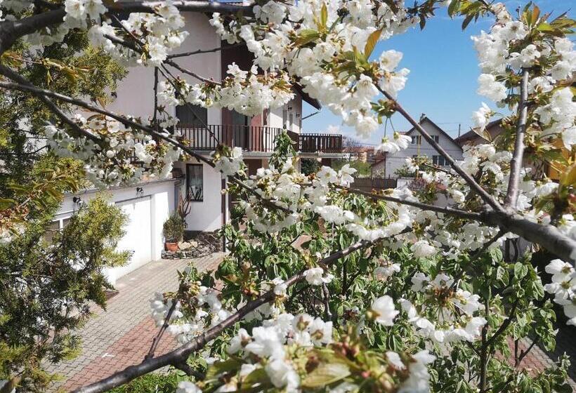 פנסיון Casa Din Noua