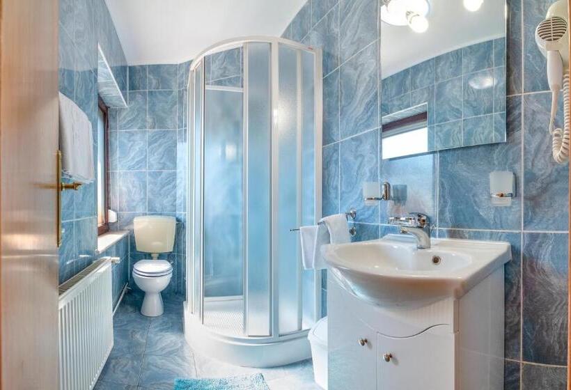 פנסיון Casa Din Noua