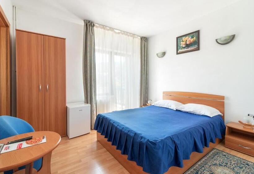 פנסיון Casa Din Noua