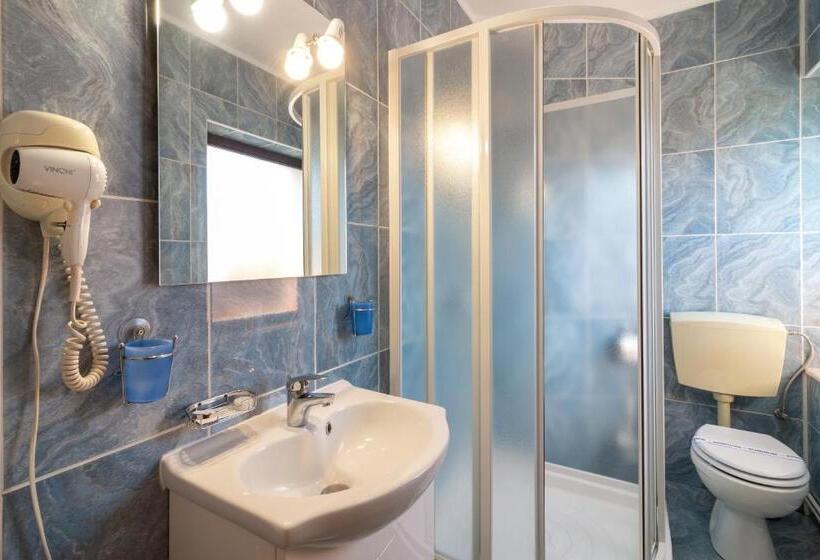 פנסיון Casa Din Noua