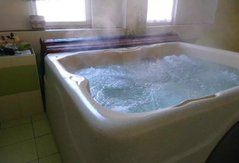 Majatalo Penzion Volyňka