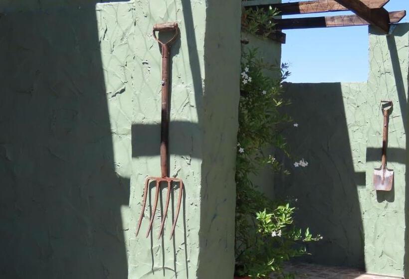 膳宿费 Die Windpomp Gastehuis