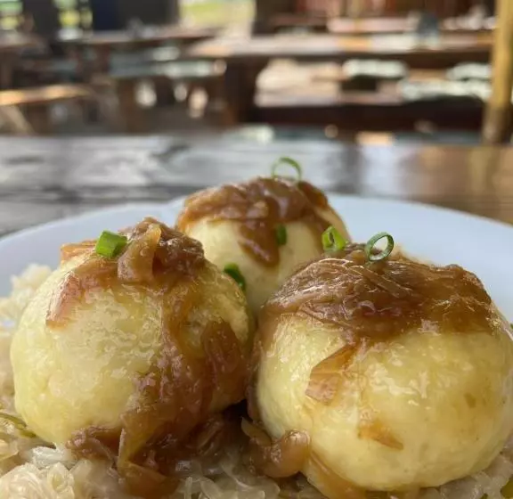 Majatalo Restaurace & Penzion U Tří Jasanů