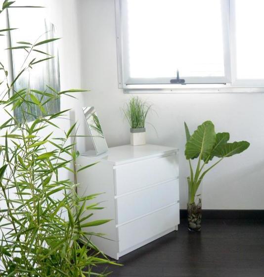 پانسیون Zen Retreat City Centre