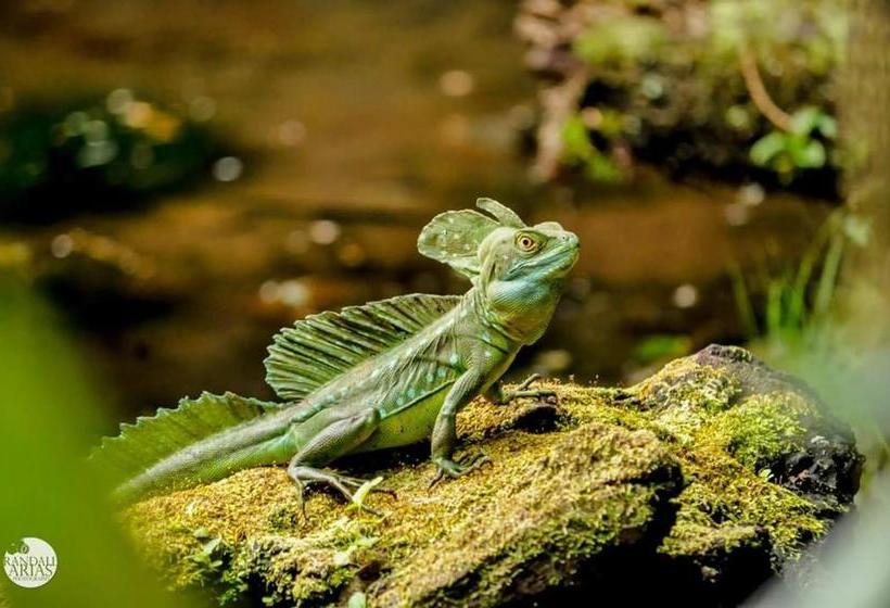 ユースホステル Casona Tica Linda