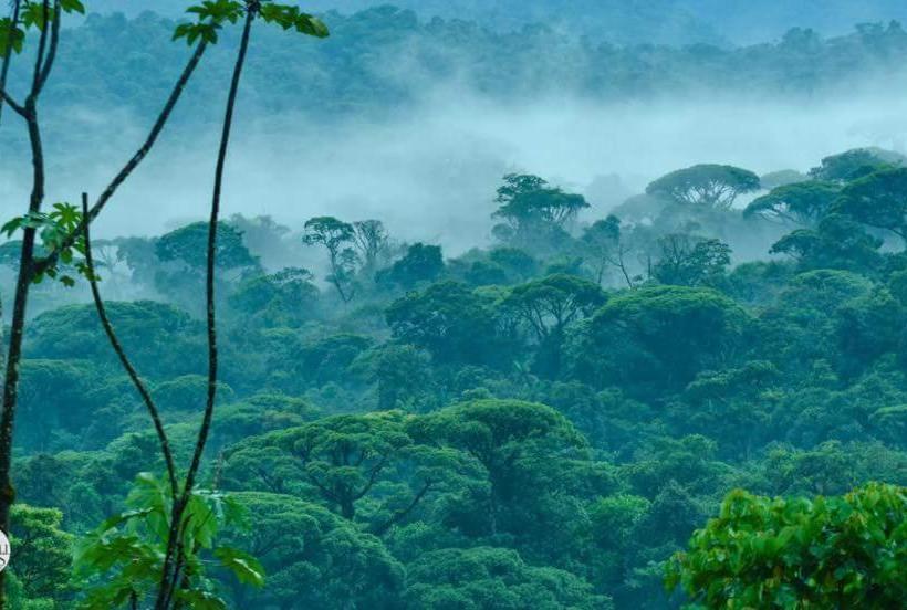 ユースホステル Casona Tica Linda