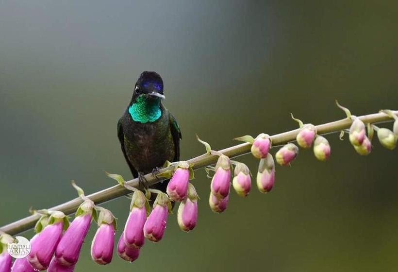 ユースホステル Casona Tica Linda