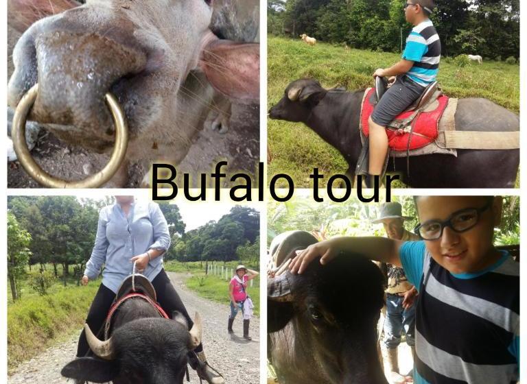 ユースホステル Casona Tica Linda