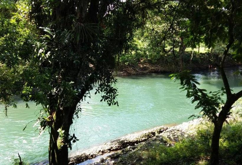 ユースホステル Casona Tica Linda