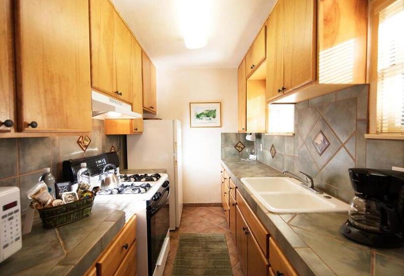 旅馆 The Emerald Iguana Inn