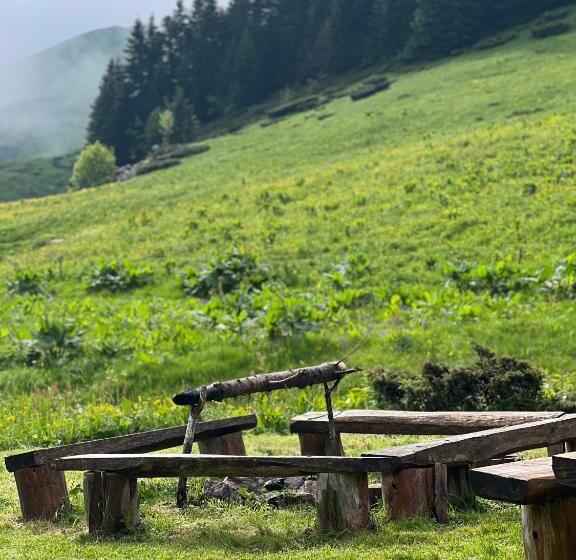 هتل Etno Selo Kolibe Damjanoviㄇa -bjelasica