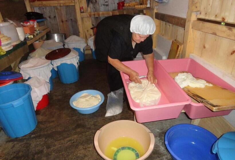 هتل Etno Selo Kolibe Damjanoviㄇa -bjelasica