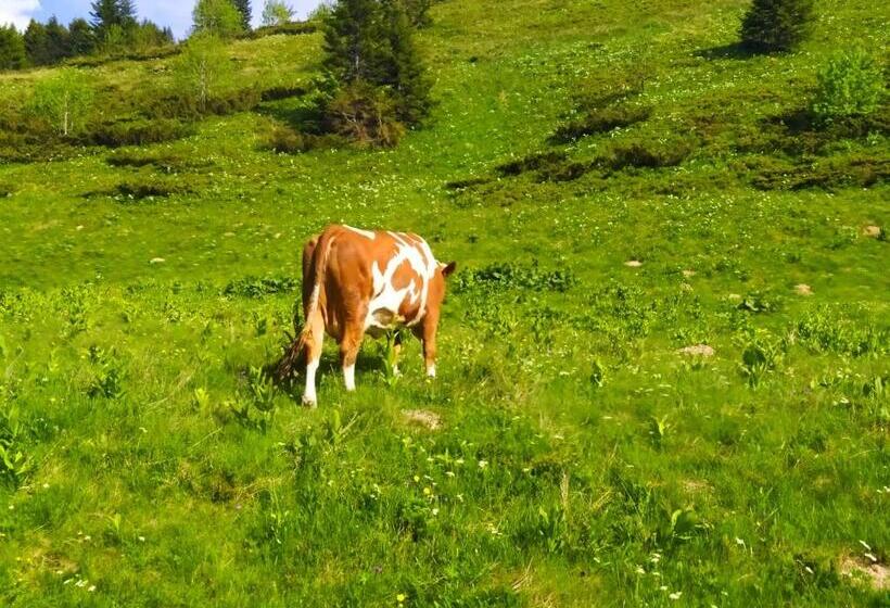 هتل Etno Selo Kolibe Damjanoviㄇa -bjelasica