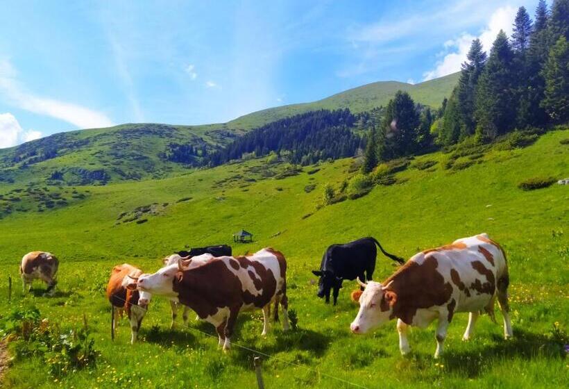 هتل Etno Selo Kolibe Damjanoviㄇa -bjelasica