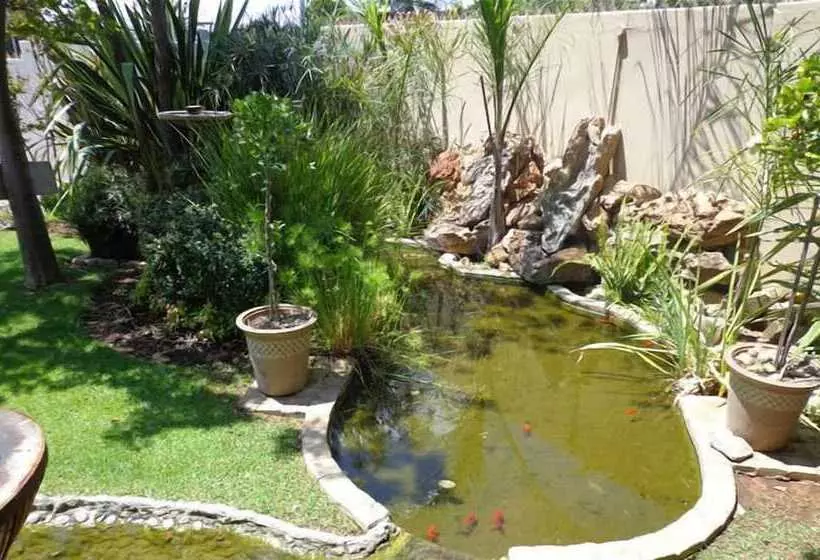 پانسیون La Bohéme Gastehuis