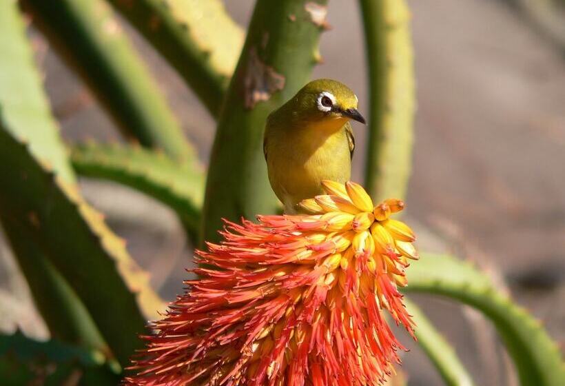 פנסיון Lost Trail Bed And Breakfast