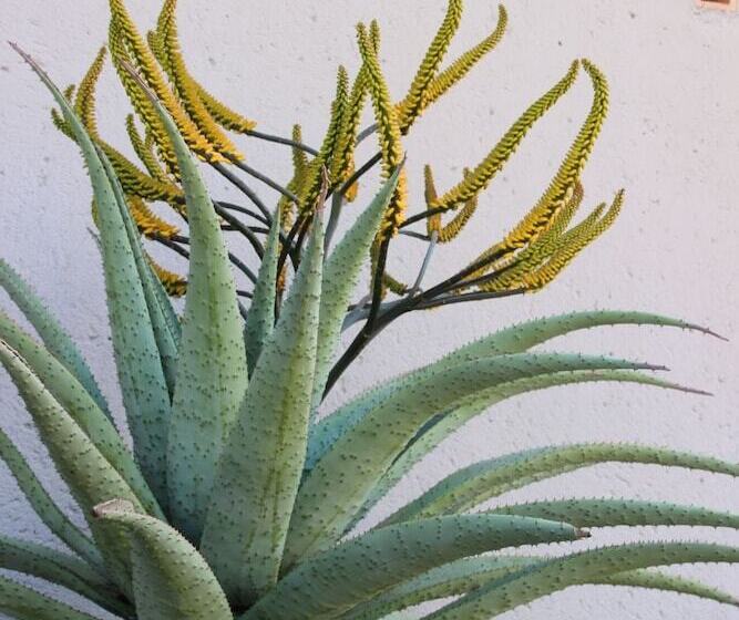 פנסיון Lost Trail Bed And Breakfast