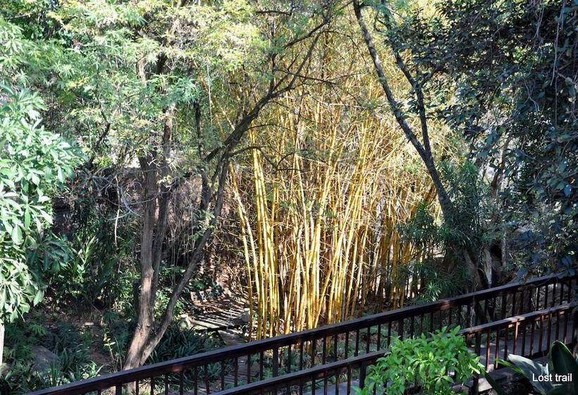 פנסיון Lost Trail Bed And Breakfast