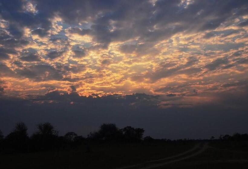 פנסיון Patterson B&b