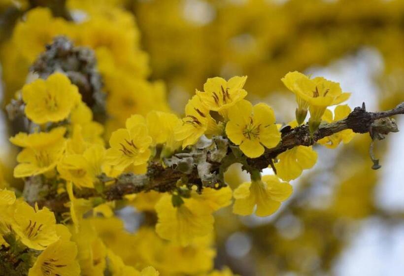 פנסיון Patterson B&b