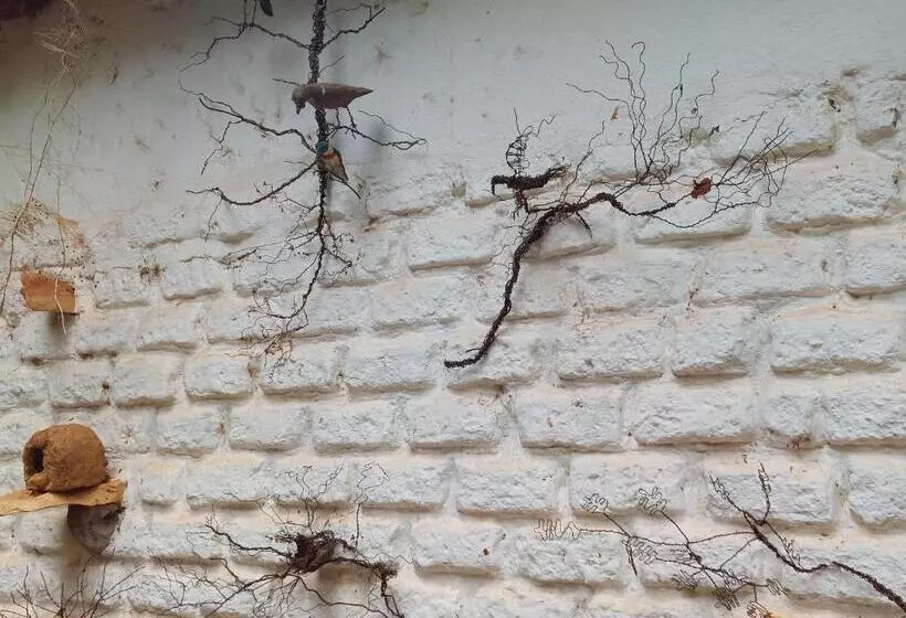 ペンション Pousada Bangalôs Cipó
