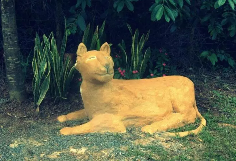 ペンション Pousada Bangalôs Cipó