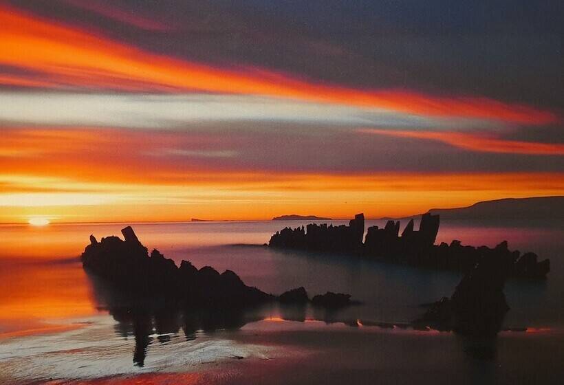 پانسیون Puffin Palace Guesthouse